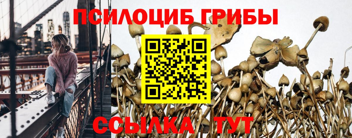 продажа наркотиков  Вход с VPN  Мелеуз  Галлюциногенные грибы Magic Shrooms 